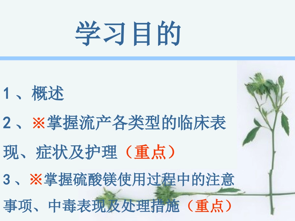 流产的护理最新课件_第2页