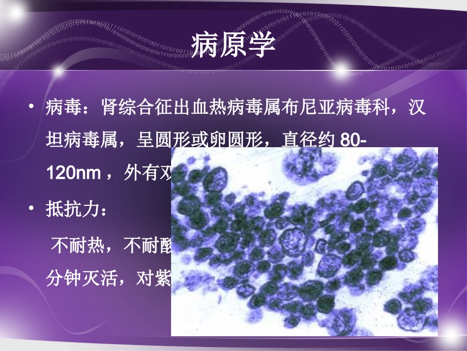 流行性出血热徐忠良_第3页