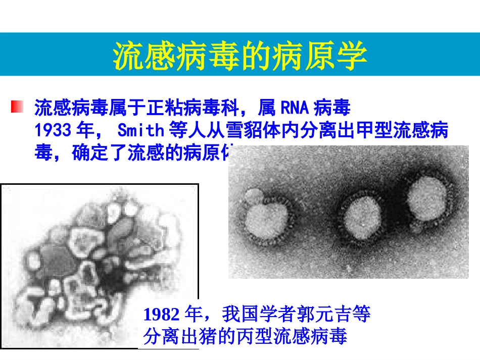 流行性感冒护本内科护理_第3页