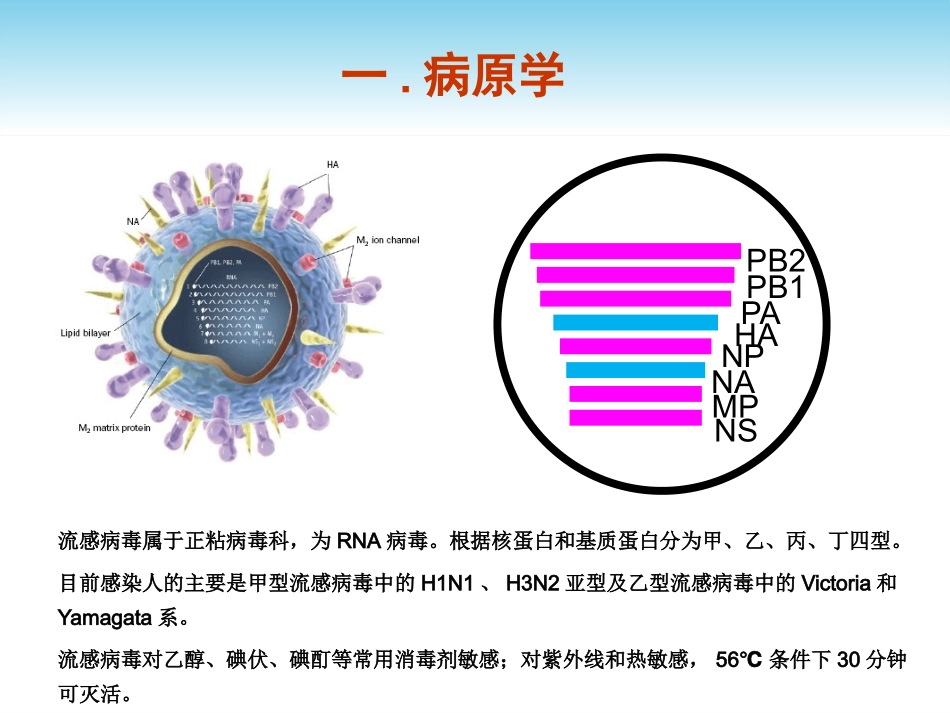 流行性感冒诊疗方案及流程_第3页