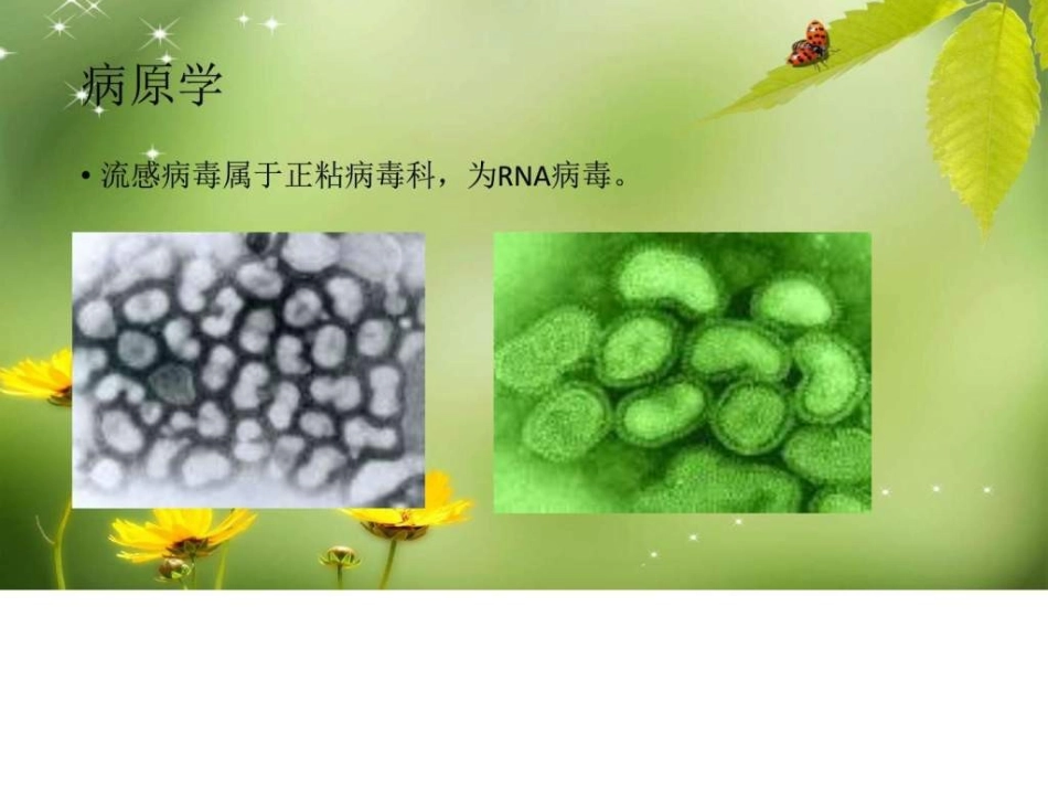 流行性感冒诊疗方案图文_第2页