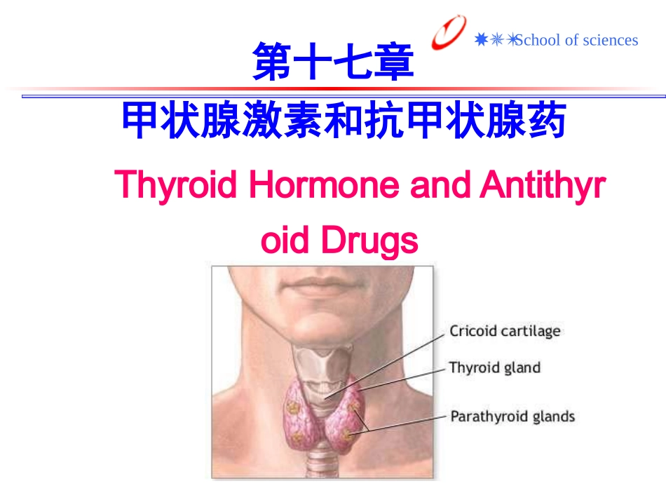 硫脲类抗甲状腺药_第1页