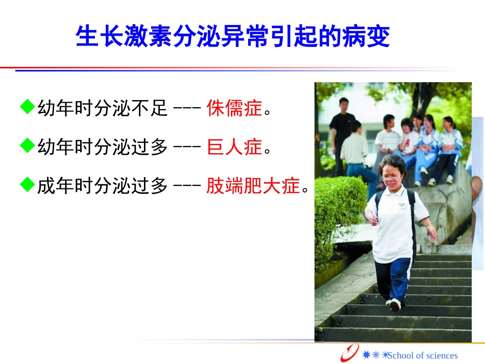 硫脲类抗甲状腺药_第3页