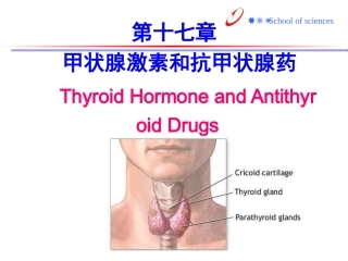 硫脲类抗甲状腺药
