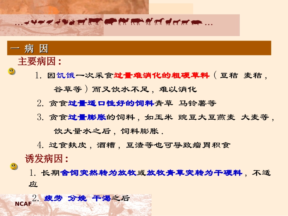 瘤胃积食和瘤胃臌气_第3页