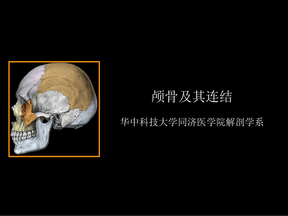 颅骨及其连结_第1页