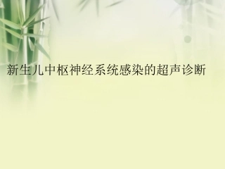 颅内感染超声诊疗