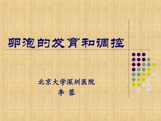 卵泡发育精编版