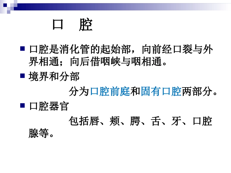 麻醉解剖学口鼻咽部解剖_第2页