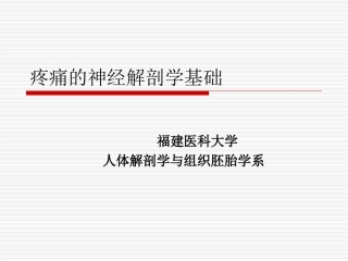 麻醉解剖学疼痛修订版