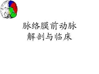 脉络膜前动脉解剖和临床