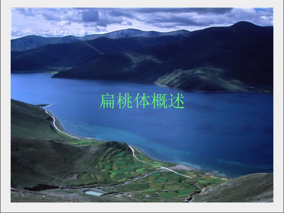 慢性扁桃体炎描述_第2页