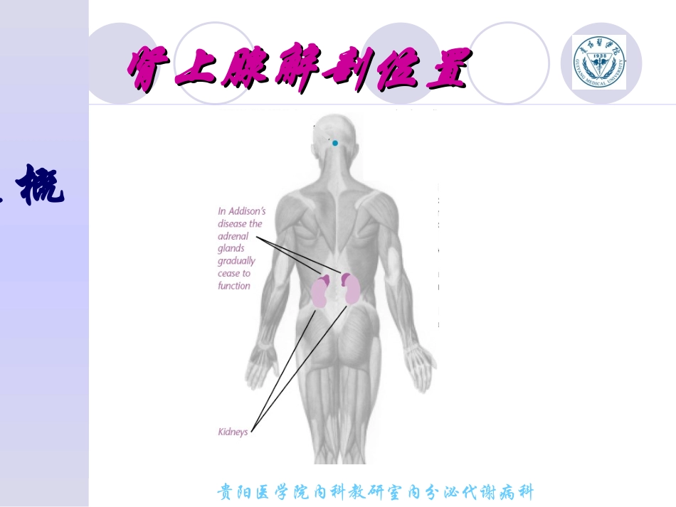 慢性肾上腺皮质功能减退症副本_第3页