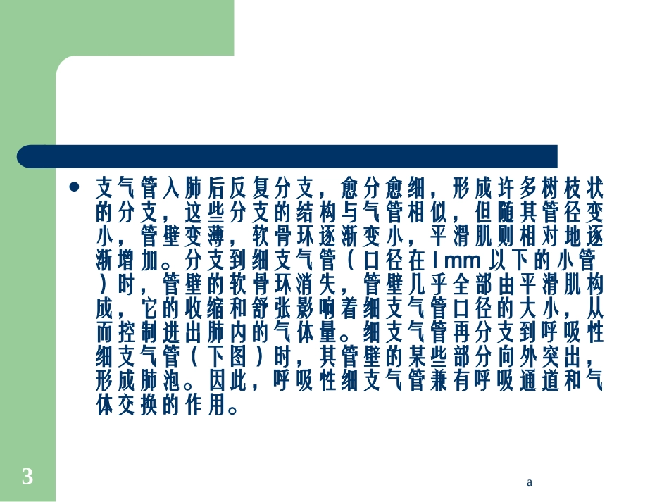 慢性支气管炎名医讲座_第3页