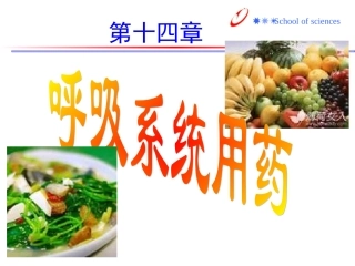 慢性支气管炎专家讲座