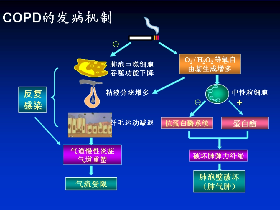 慢性阻塞性肺疾病西班牙专家共识_第3页