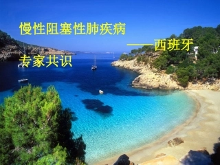 慢性阻塞性肺疾病西班牙专家共识