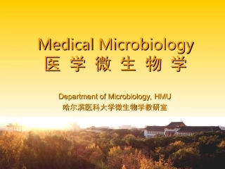 梅毒螺旋体的结构