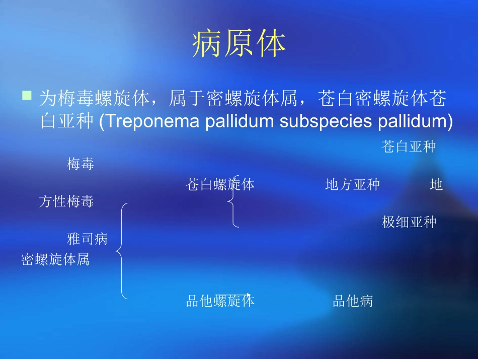 梅毒实验室检测课件解析_第2页