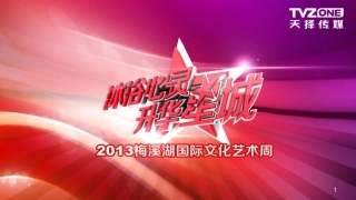 梅溪湖文化艺术周策划方案