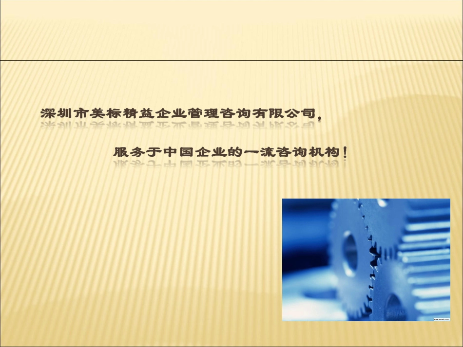 美标精益咨询公司简介_第2页