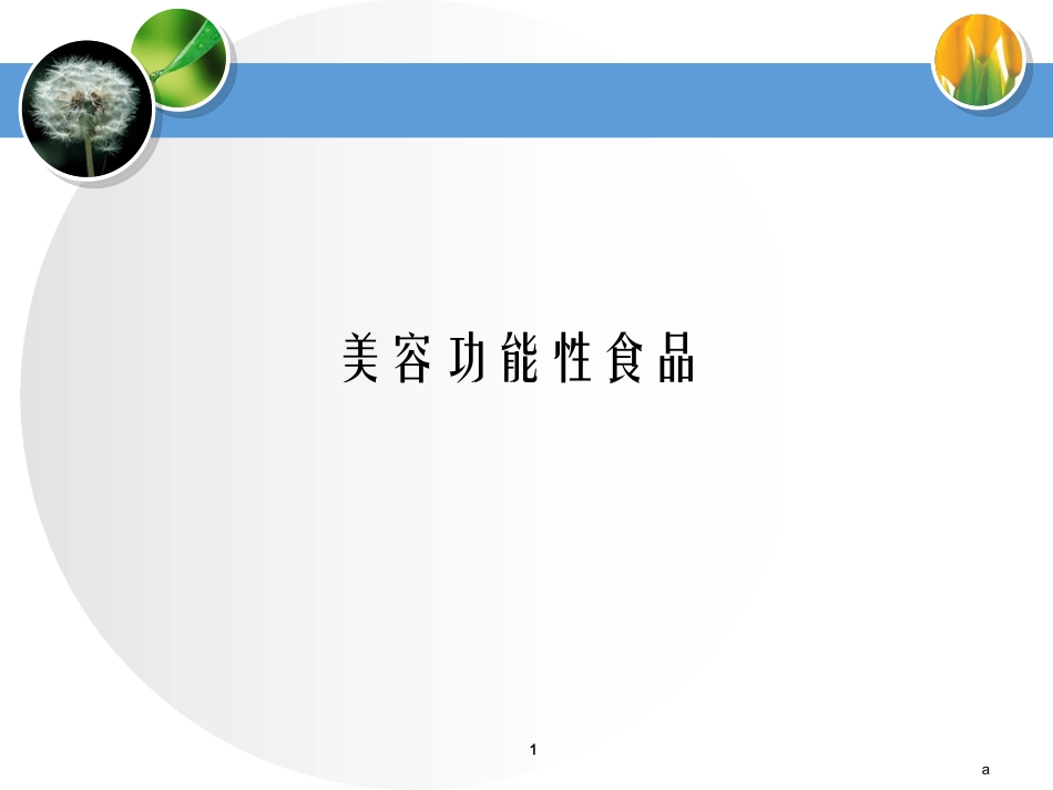 美容功能性食品_第1页