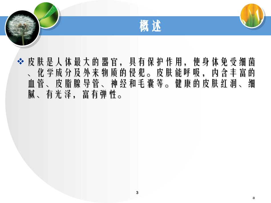 美容功能性食品_第3页