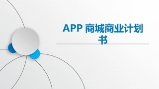 美业APP商业计划书