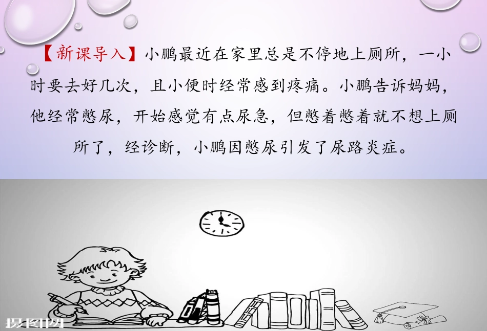 泌尿和生殖系统_第3页
