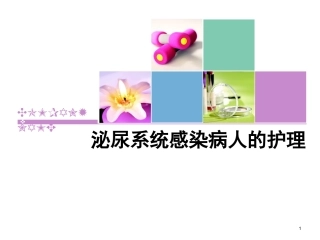 泌尿系感染幻灯片课件