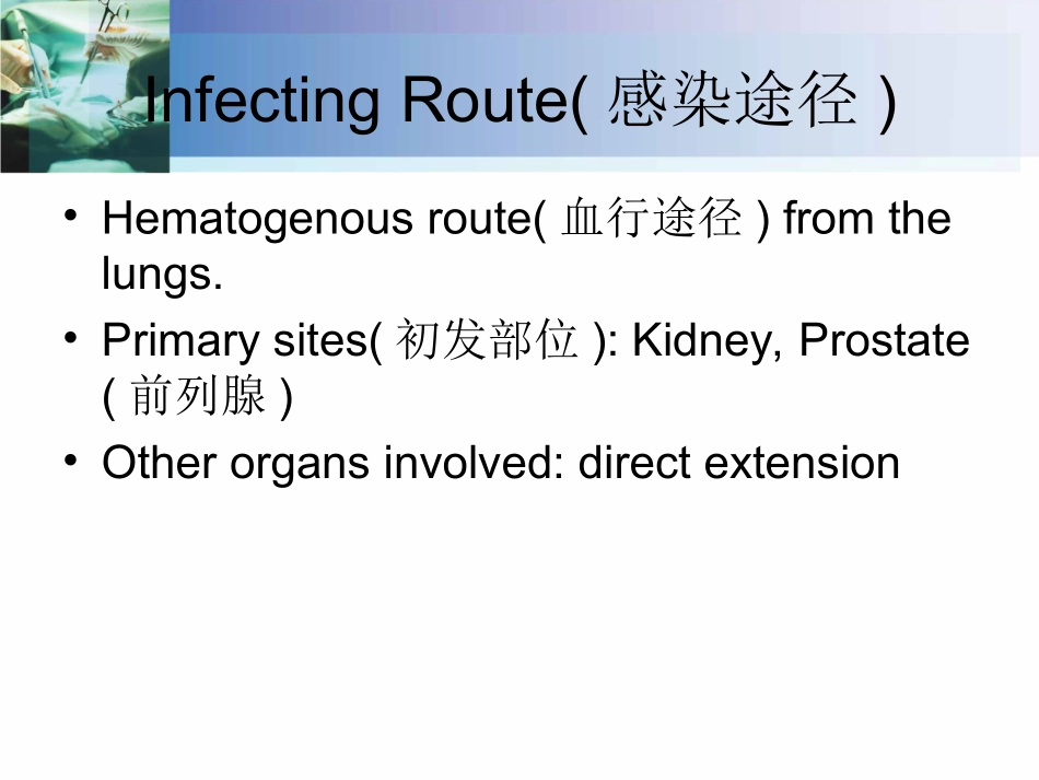 泌尿系结核课件_第3页