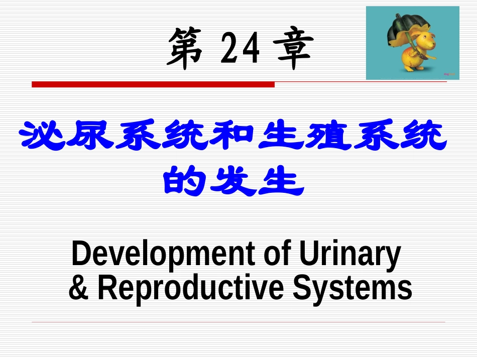 泌尿系统和生殖系统_第1页