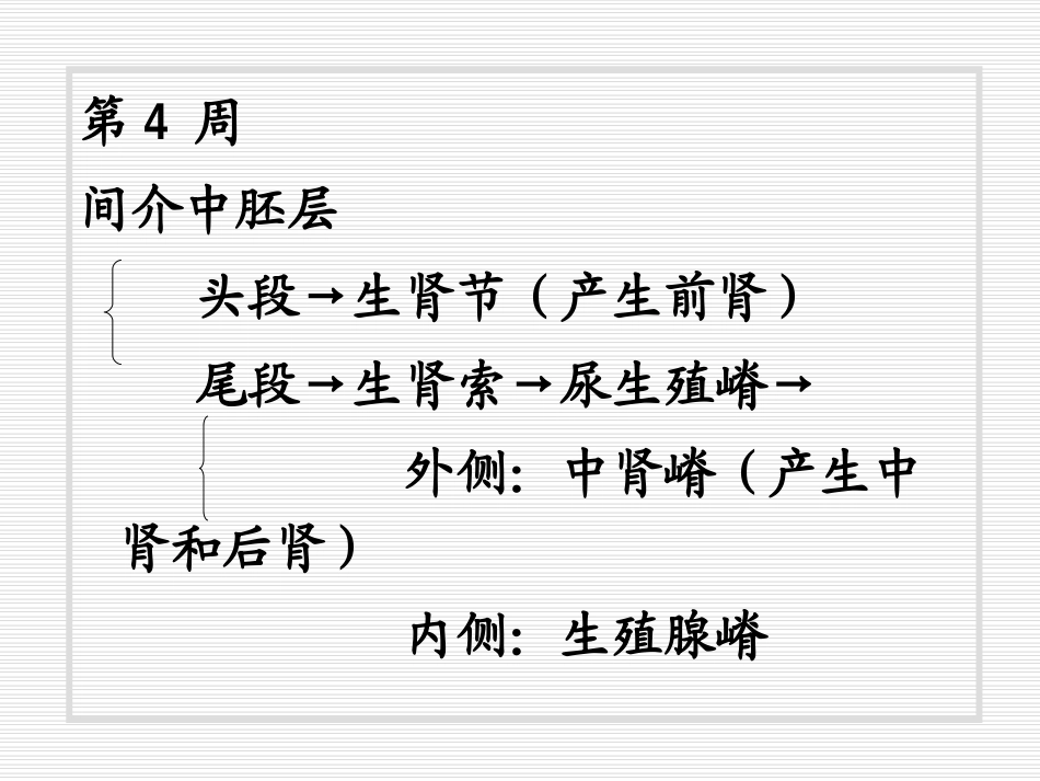 泌尿系统和生殖系统_第2页