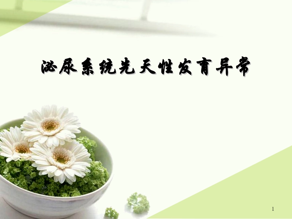 泌尿系先天发育异常影像诊疗_第1页