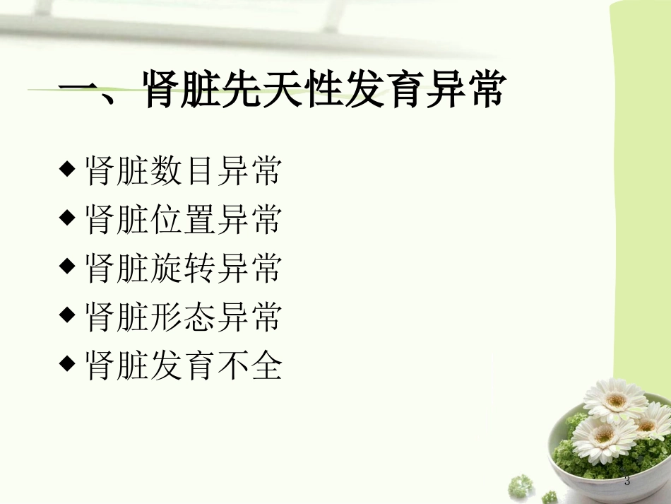泌尿系先天发育异常影像诊疗_第3页