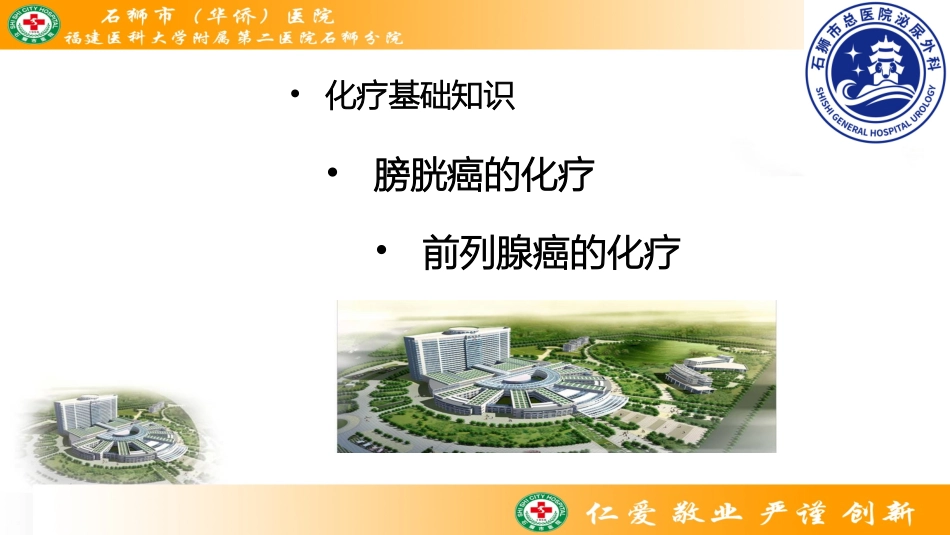 泌尿系肿瘤相关化疗_第2页