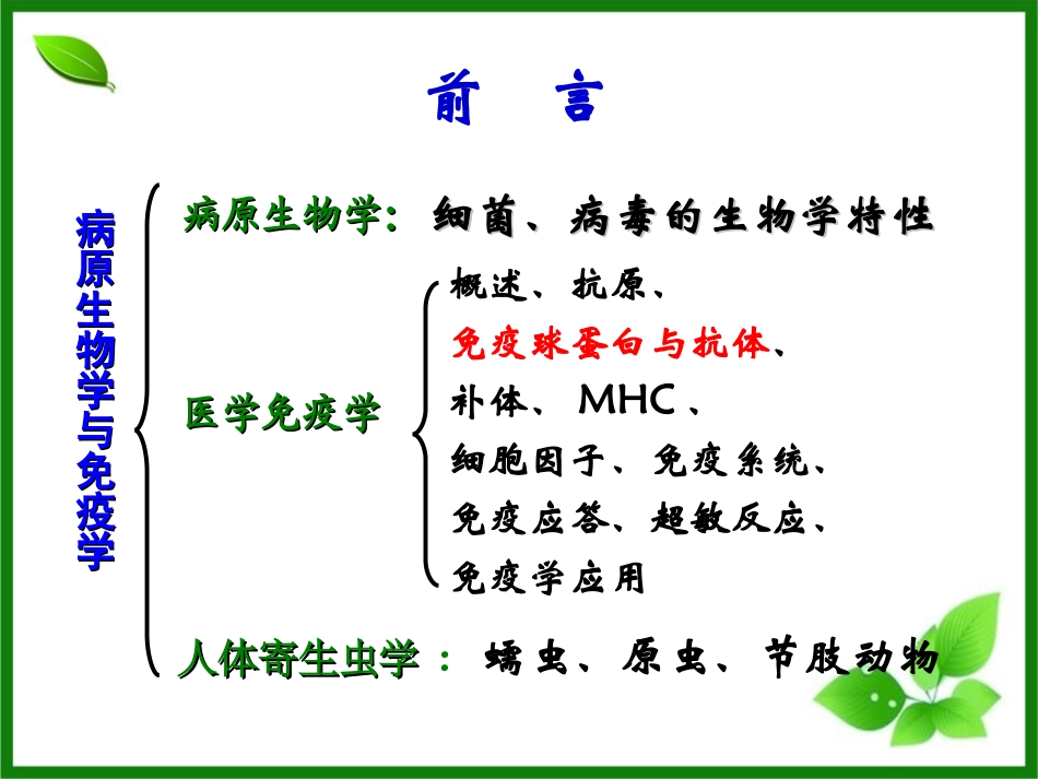 免疫球蛋白和抗体_第2页