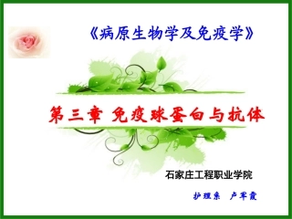 免疫球蛋白和抗体