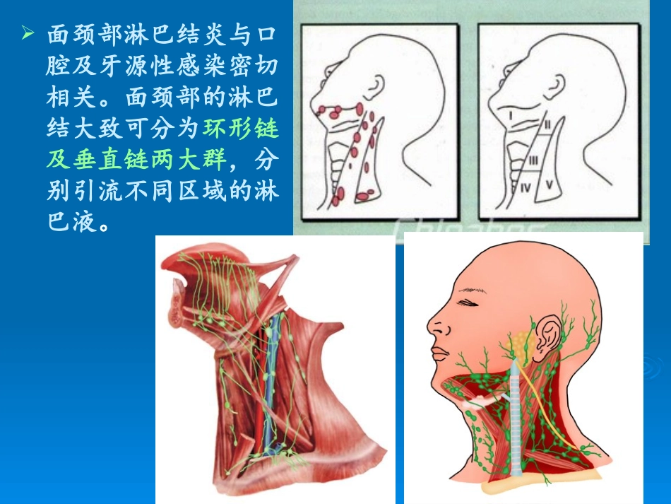 面颈部淋巴结炎面部疖痈口腔颌面部特异性感染_第3页
