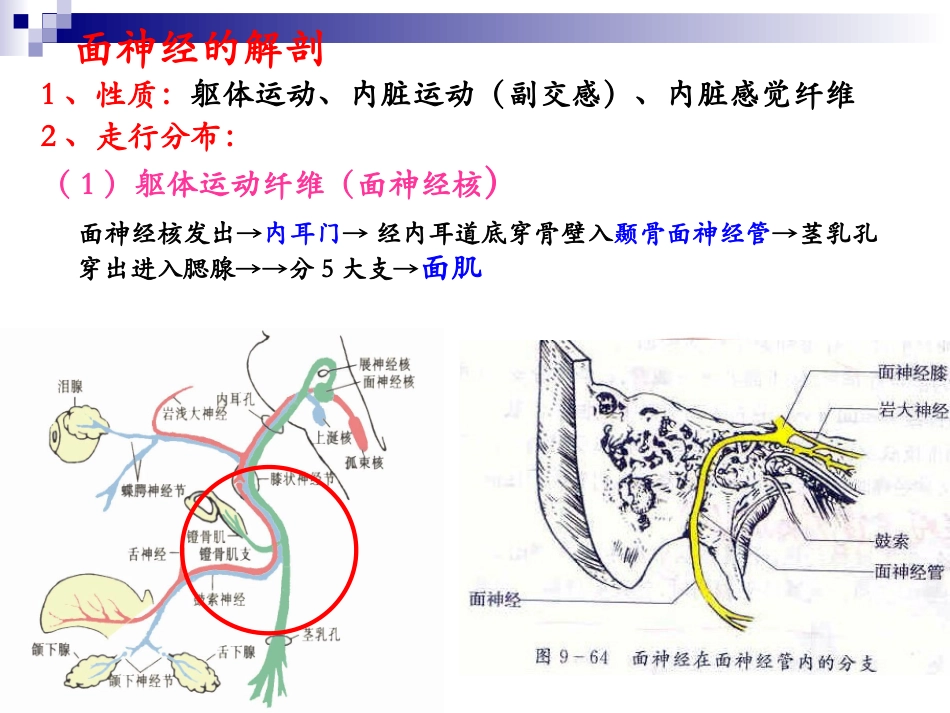 面神经炎的康复_第3页