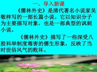 名著导读儒林外史