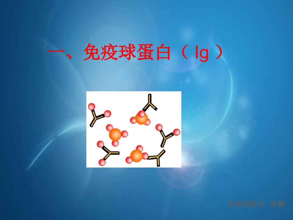 模块二功能性蛋白质等_第3页