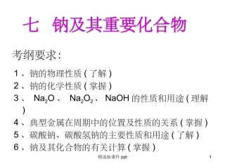 钠及其化合物