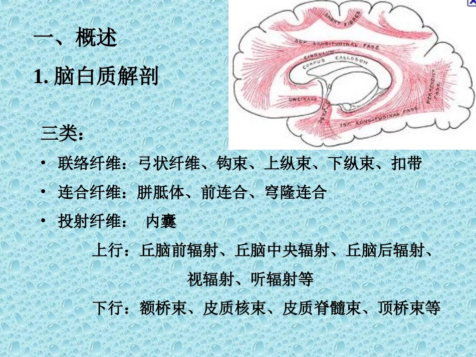 脑白质斑点状和斑片状病灶的MR诊断_第2页
