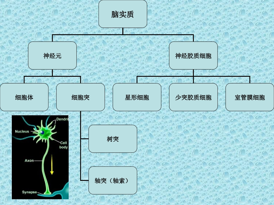 脑白质斑点状和斑片状病灶的MR诊断_第3页