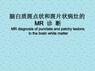 脑白质斑点状和斑片状病灶的MR诊断