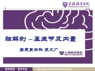 脑解剖基底节内囊讲座
