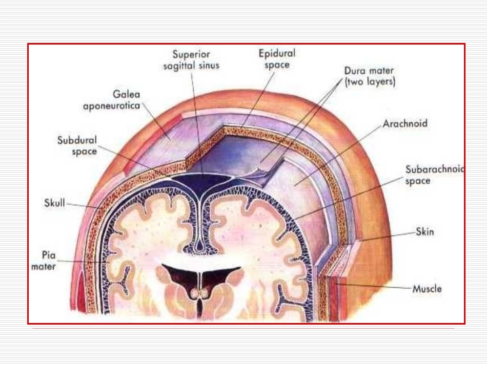 脑外伤的影像诊疗_第3页