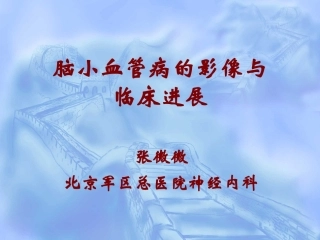 脑小血管病的影像和临床