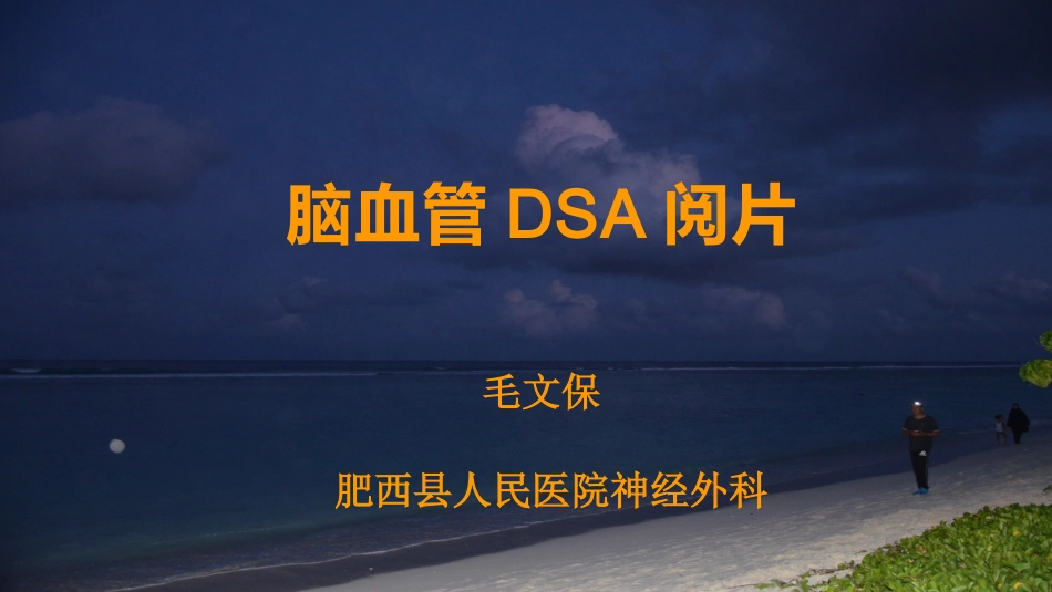 脑血管DSA阅片_第1页